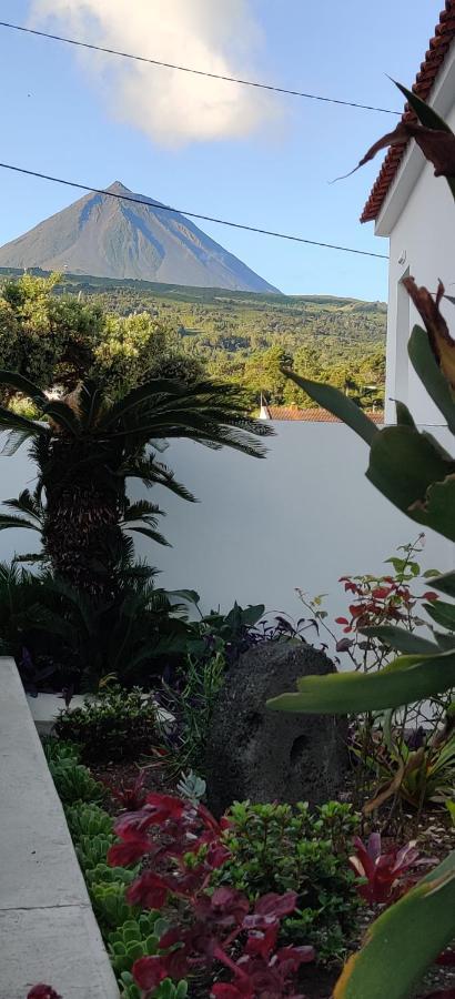 Casa Da Avo Biza Villa São Roque do Pico Kültér fotó